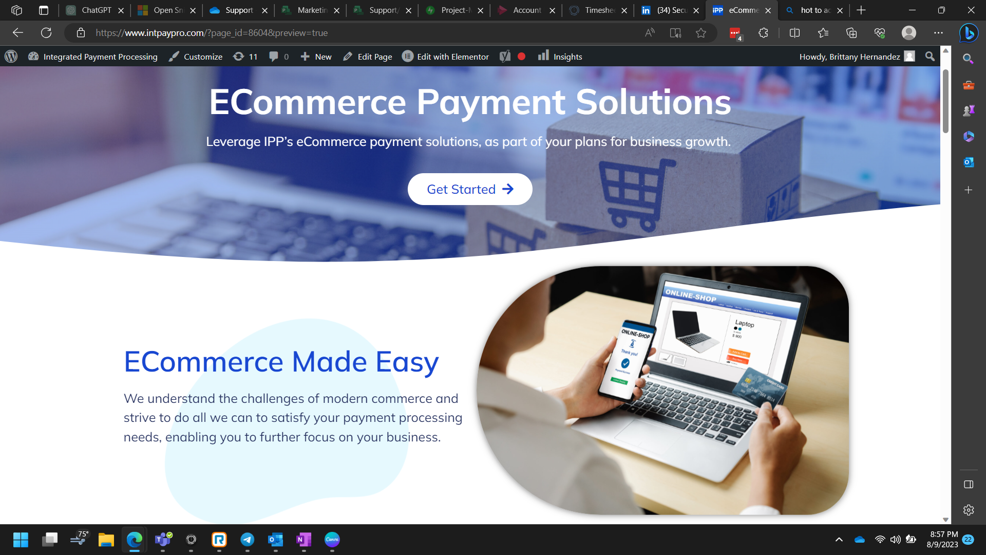 Key phrase: eCommerce Payment Solutions. The following images are screenshots of the eCommerce payment solutions pgae drafts for the website www.intpaypro.com